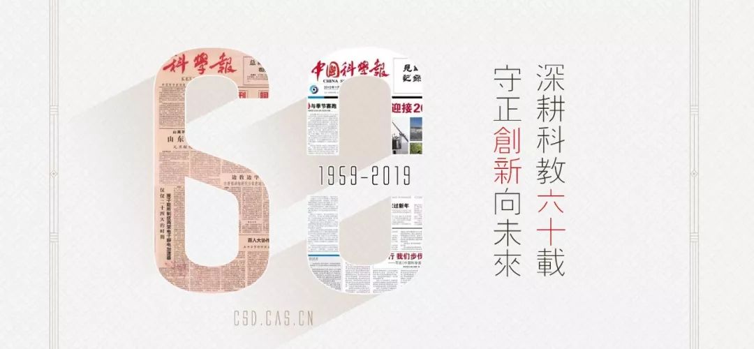 定向生，无力承受的断尾之痛