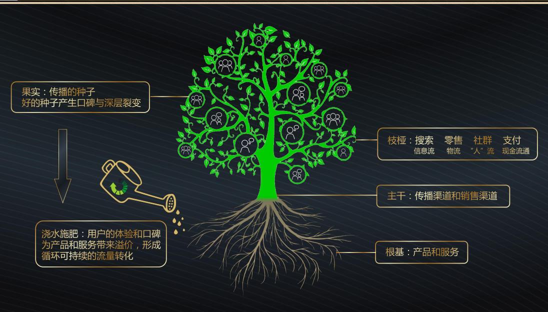 从三十八度到三十九度,从三阶到四阶需要多久