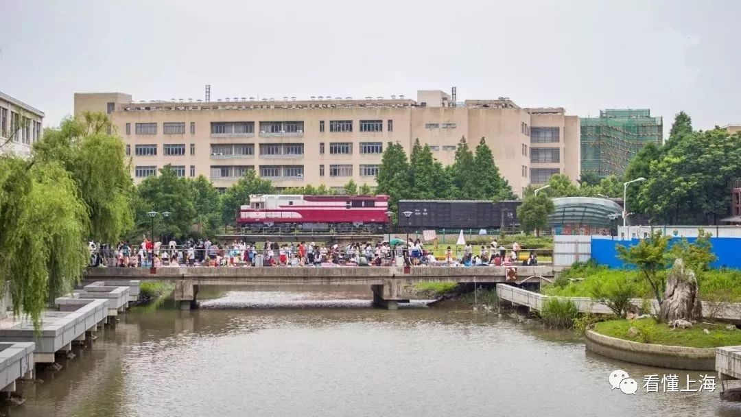 马路道口菱形标志,马路道口鬼探头