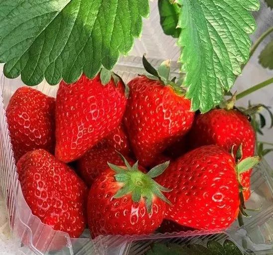 玩的地方推荐三天游,三天两夜旅游强推