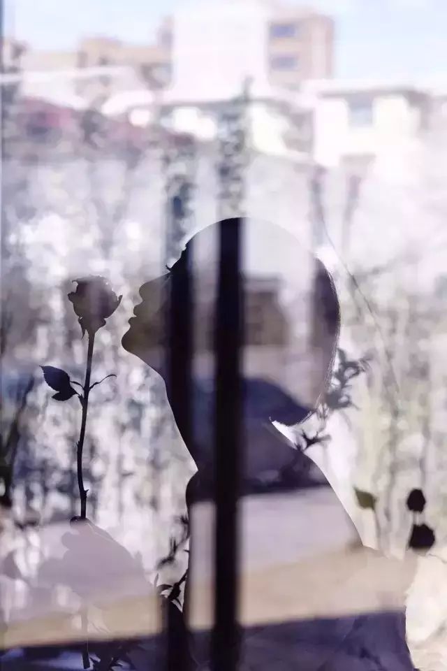 北京才女徐静蕾,徐静蕾李亚鹏北京台