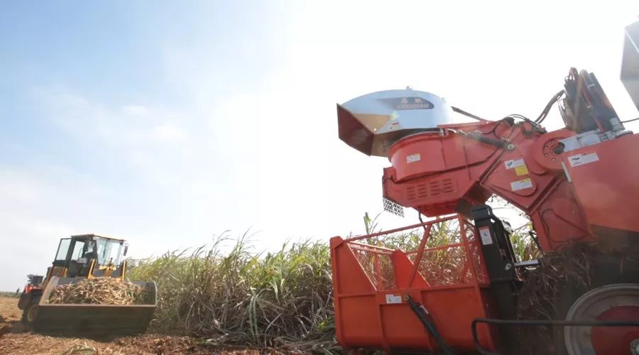 做机械不赚钱,甘蔗收获机首选机型