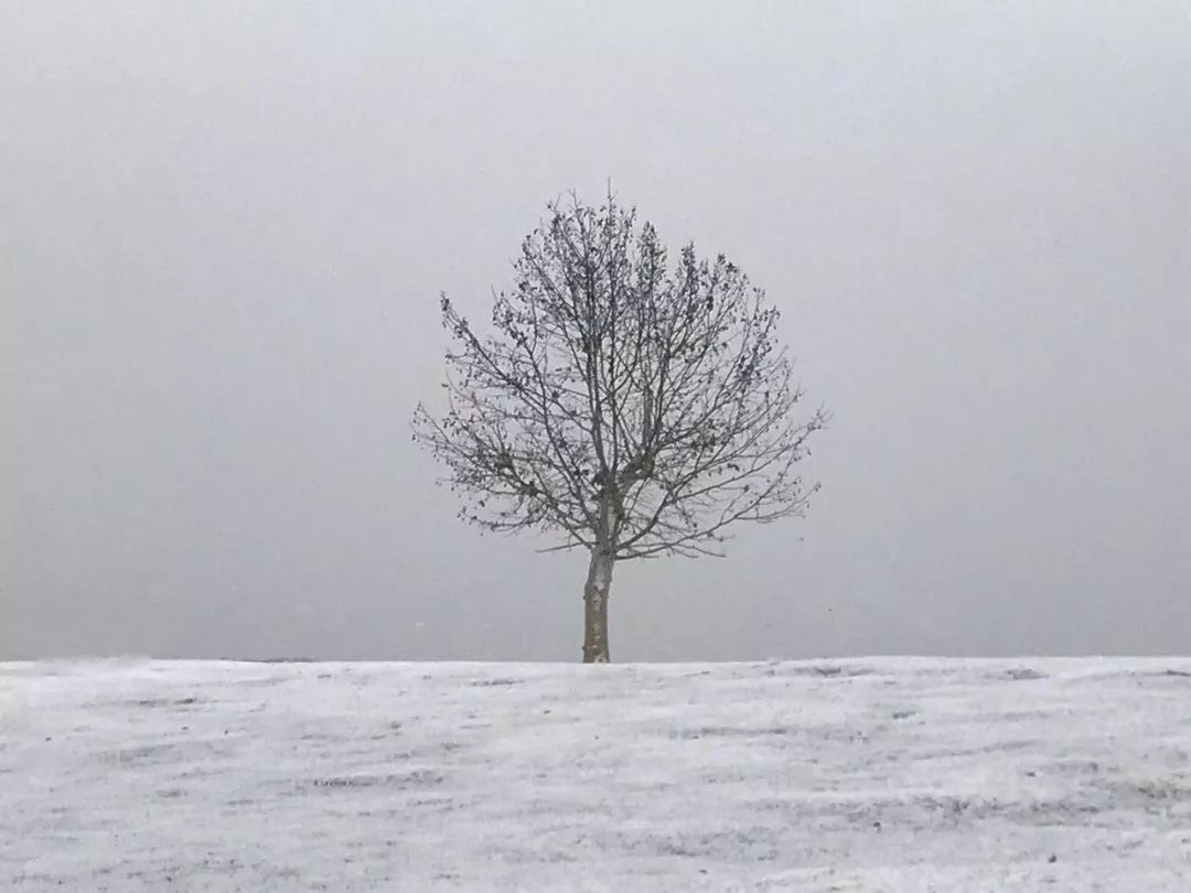 2018年大雪时刻,2018年的大雪和今年大雪