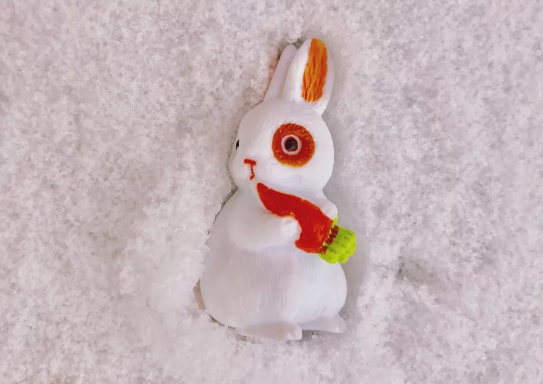 雪在认真的下！路上小心！最新路况在这里！