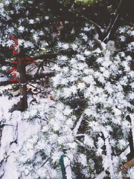 2018年大雪时刻,2018年的大雪和今年大雪