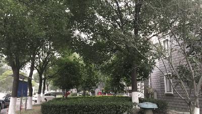 2018年大雪时刻,2018年的大雪和今年大雪