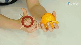 卫生间异味难闻怎么清除,卫生间异味太难闻教你几招除异味