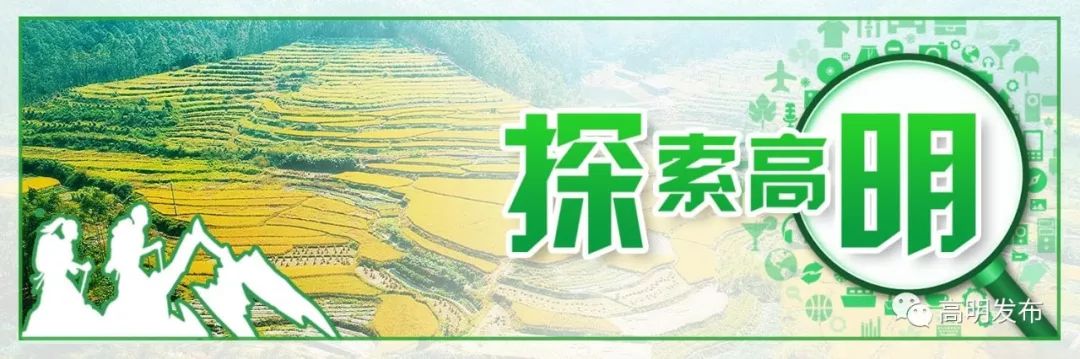 禾雀花美翻三月天,禾雀花盛开美翻三月天