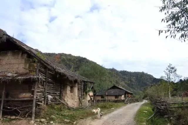 就在刚刚，传来一份近千万西安人的年度总结，内容过于真实……