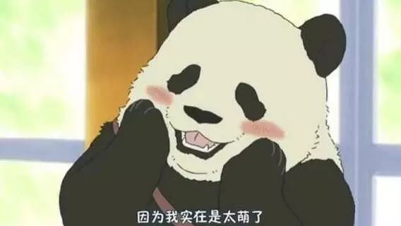 老外到底多喜欢熊猫,老外看中国大熊猫