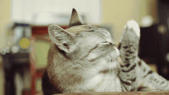 医生带你揭秘胃镜治疗的全过程,普通胃镜和无痛胃镜你会选哪个