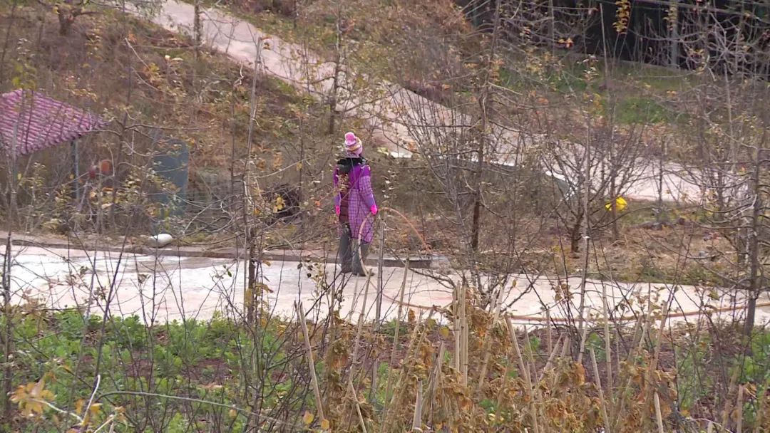 李勇在创业,汉源李勇