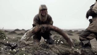 10部好片推荐值得一刷再刷的,最近有什么好片可以看