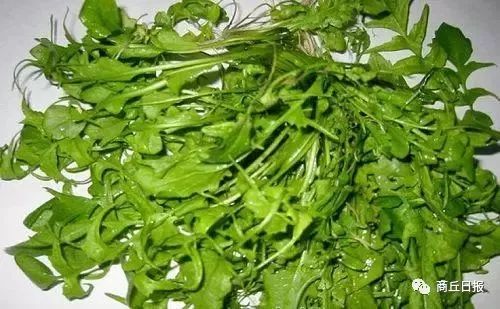 商丘八大农产品,商丘八大农产品图片