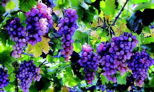 女子这个部位满是“沙子”,不得不全部切除!只因这项坑惨无数人的操作