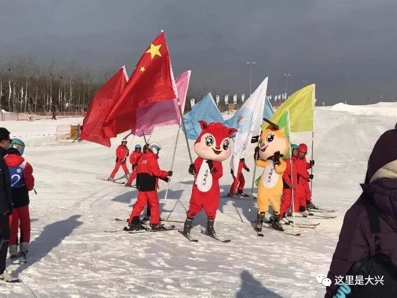 助力冰雪运动发展,全民冰雪运动会助力三亿人上冰雪