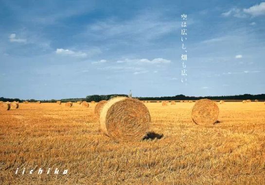 山崎威士忌的五十个秘密,山崎为什么是小众威士忌