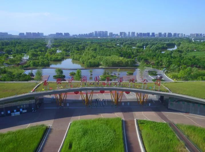 接住所有好运,30个好消息100条