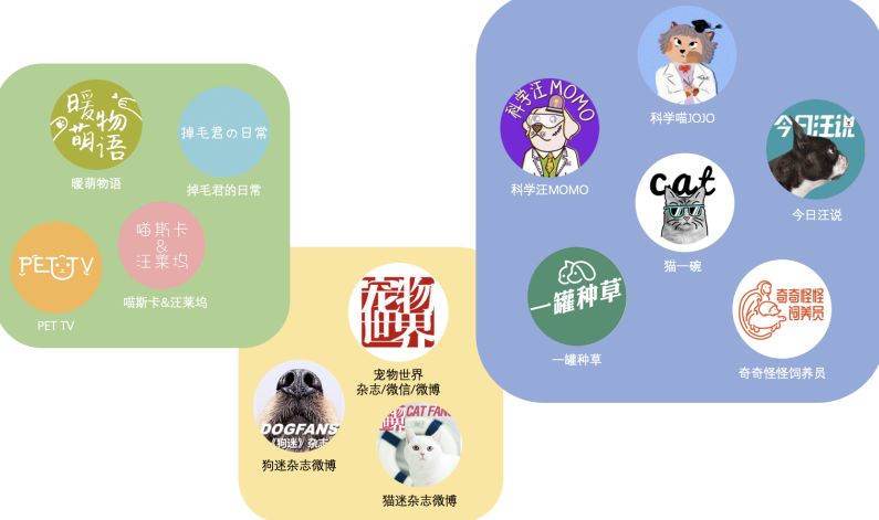 宠物行业新的机会,宠物行业新机会