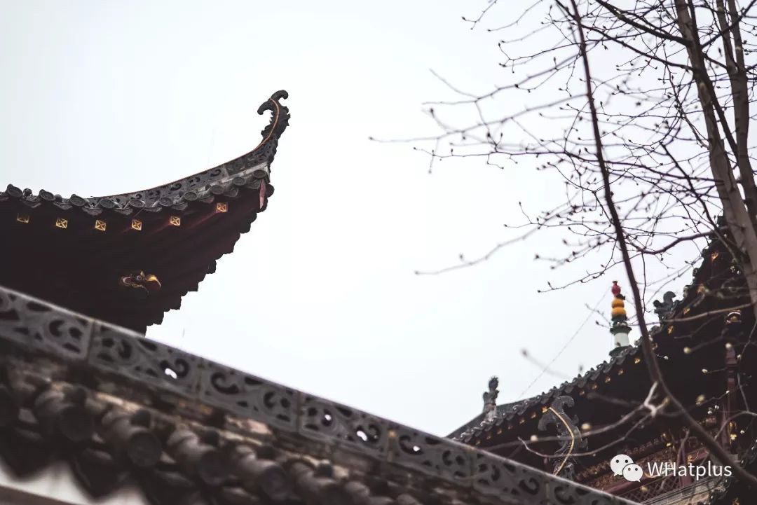 南普陀寺素菜馆推荐,观音山十大素菜馆