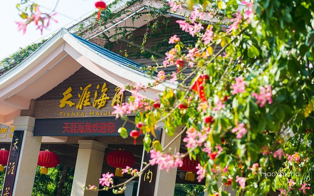 逃离阴冷的成都，到三亚享受这个冬天！