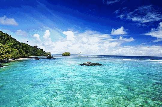 2019年这些统统免费！金乡的你不知道就亏大了