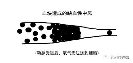 吉尔泰勒自述开悟经历,吉尔泰勒书籍