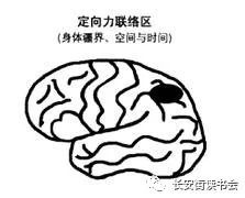 吉尔泰勒自述开悟经历,吉尔泰勒书籍