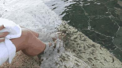 湛江海滨火山温泉景区,火山温泉广东