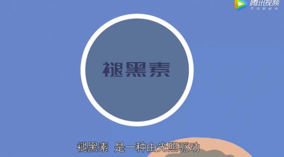 入睡困难失眠助眠,缓解失眠助眠