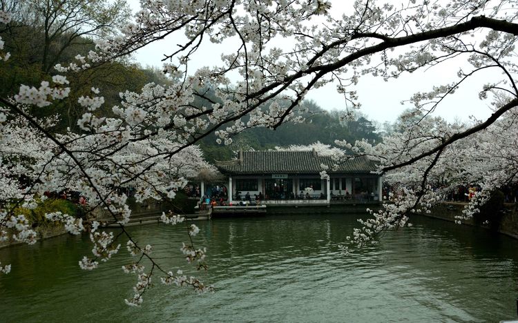 滨州摄影师葛珍君：记录风景和变化记录亲情和友谊