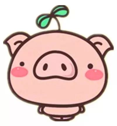 元江高端酒店有哪些,元江经济型酒店推荐