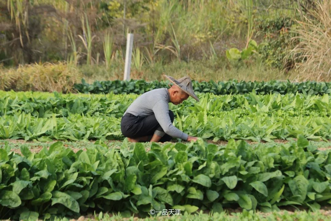 长泰最有名的县,长泰的名胜古迹