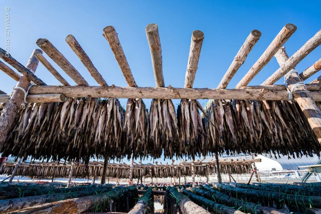 冬季韩国旅行,带你去看韩剧以外的生活!