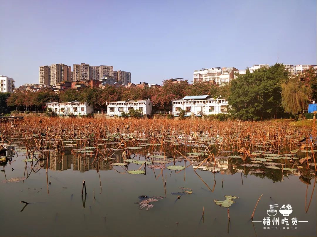 一座城市美食,梧州特色美食老字号