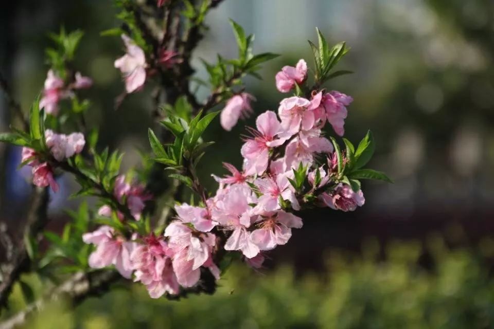 请给我来一碗“江工专属腊八粥”