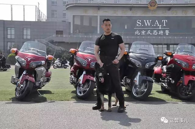 2018北京榜样警察评选,2019北京榜样最美警察主题活动