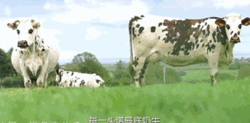 宝宝发育比较慢？聪明妈妈是这样巧妙应对的