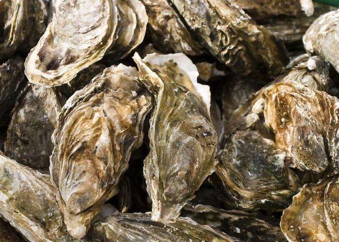 小孩严重挑食会得什么病,小孩挑食要查什么