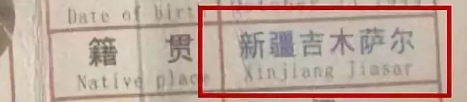 被这个翻译气笑了！但更扯的是它背后的组织……