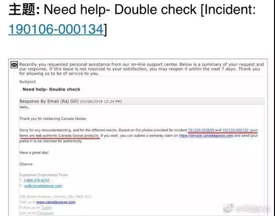 考拉加拿大鹅最新结果,考拉加拿大鹅真假对比
