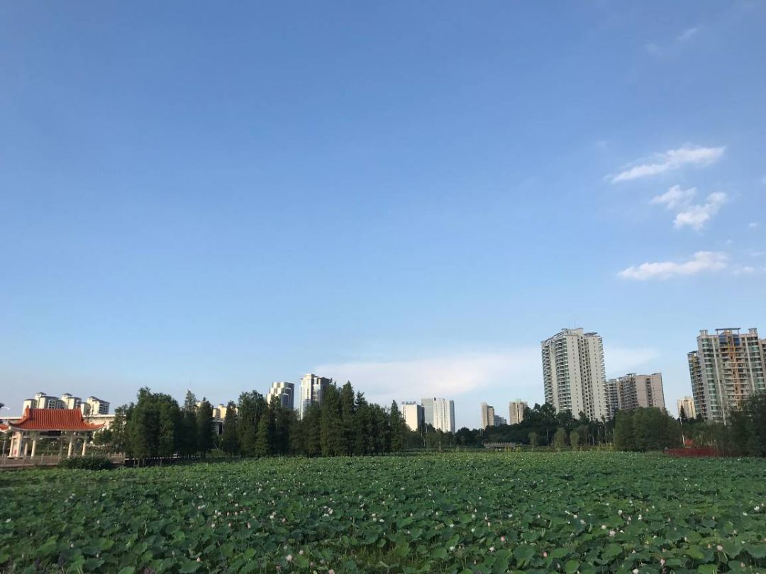 中山新增公园地址,中山紫马岭公园今年春节开放吗