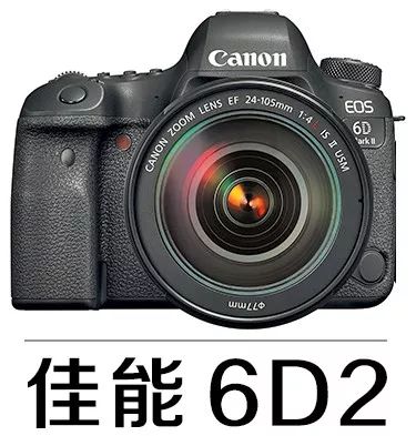 新手必须掌握的7个微距摄影技巧,光影留情谈微距拍摄技巧