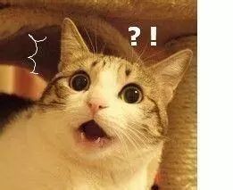 中国代购买的最火的日本眼药水,这几款日本网红眼药水被国外禁售