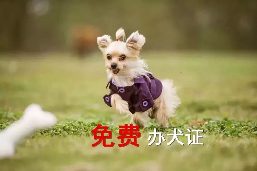 大局已定开始扭转乾坤,常州最新重点消息