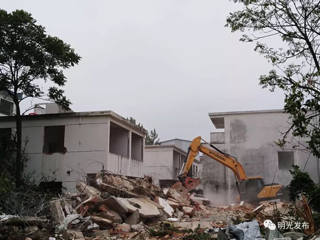 十件民生实事解析,为民实事清单