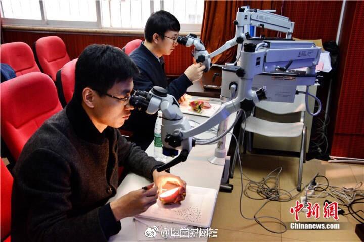 来者不拒！外科医生竟拿它们来练手