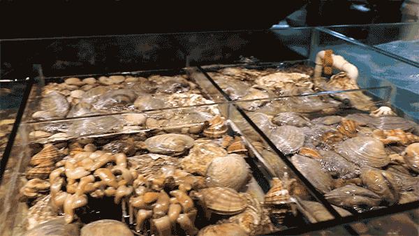 香港海鲜花胶鸡,香港花胶鸡推荐