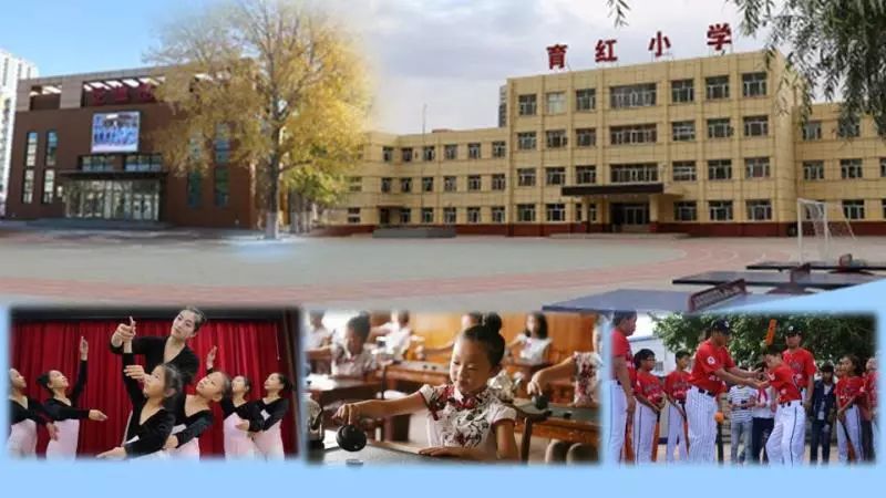 全齐齐哈尔所有小学排名,全齐齐哈尔初中排名