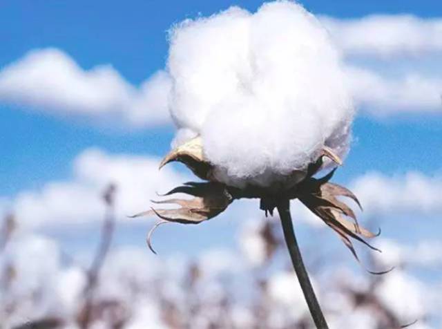 618购物节家纺床品,618床品